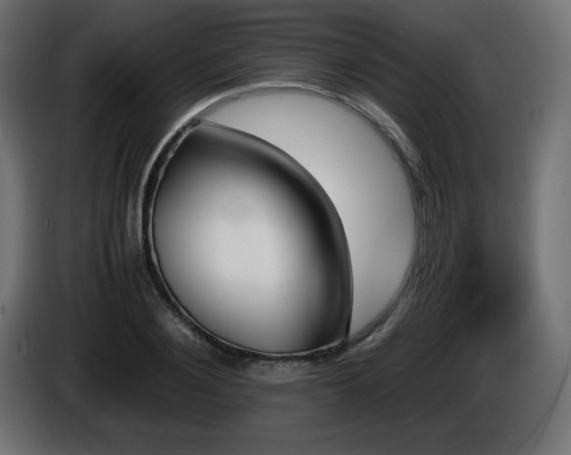 X0000087010884200704161540