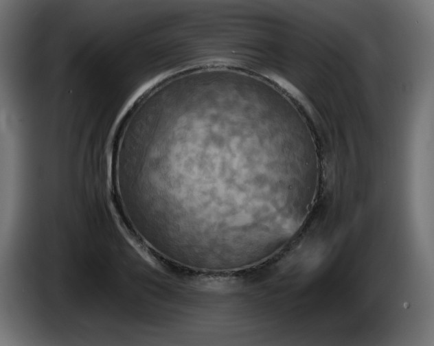 X0000087010886200704161540
