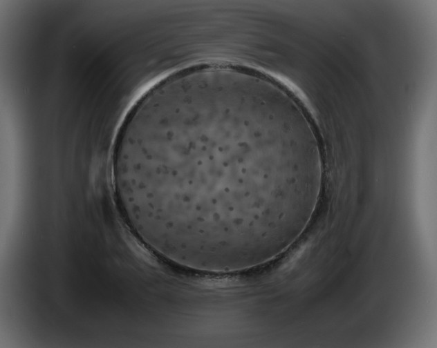 X0000087010887200704161540