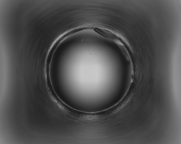 X0000087010888200704161540
