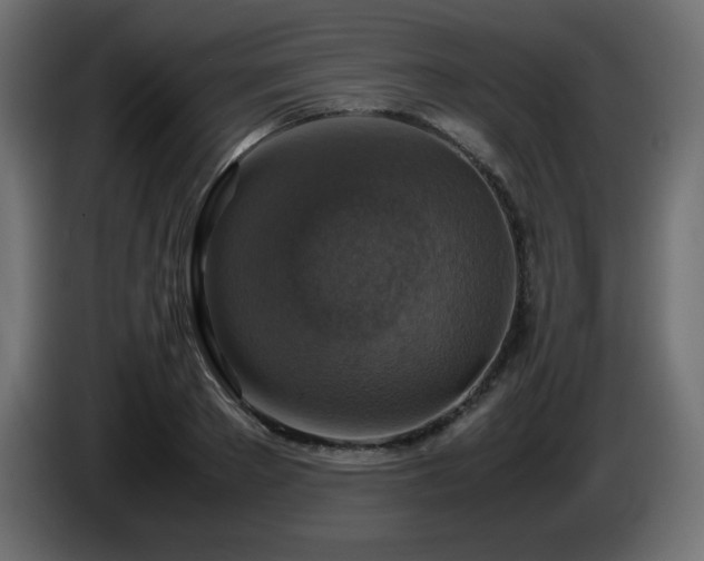 X0000087010889200704161540