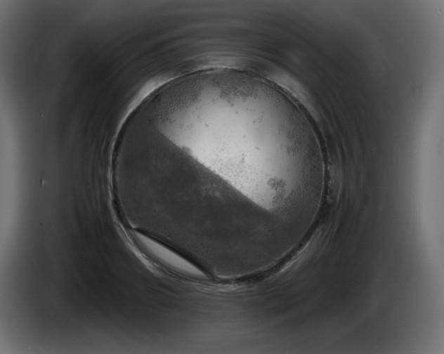 X0000087010890200704161540