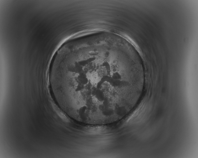 X0000087010891200704161540