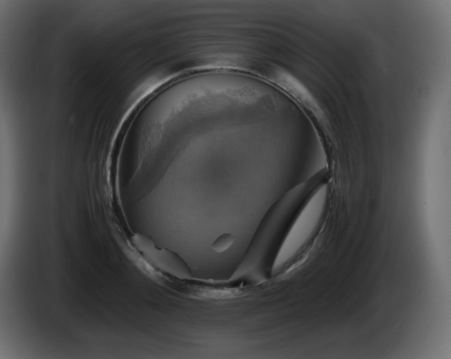 X0000087010892200704161540