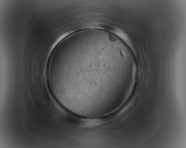 X0000087010893200704161540