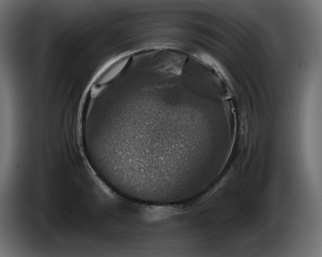 X0000087010894200704161540