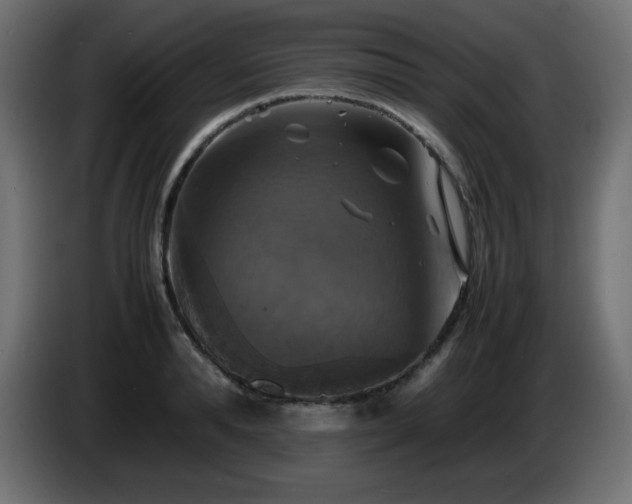 X0000087010896200704161540