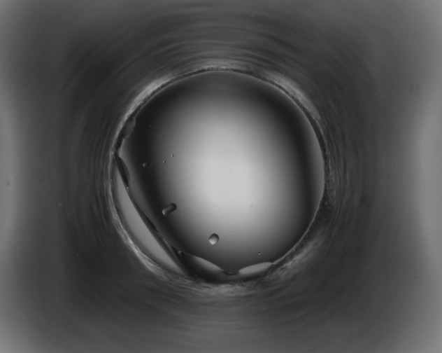 X0000087010898200704161540