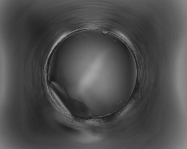 X0000087010899200704161540