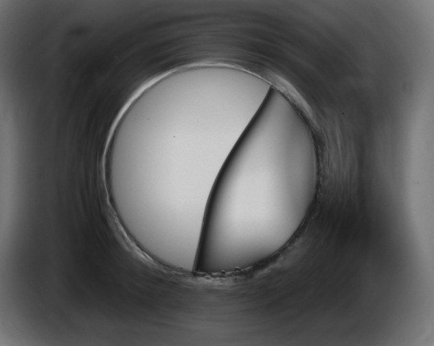 X0000087010900200704161540