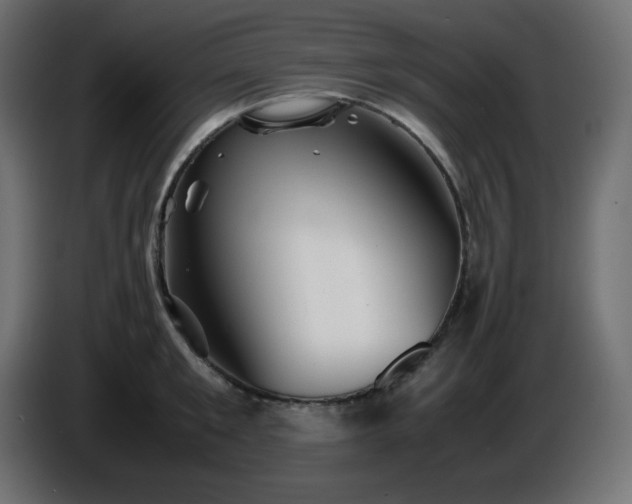 X0000087010901200704161540
