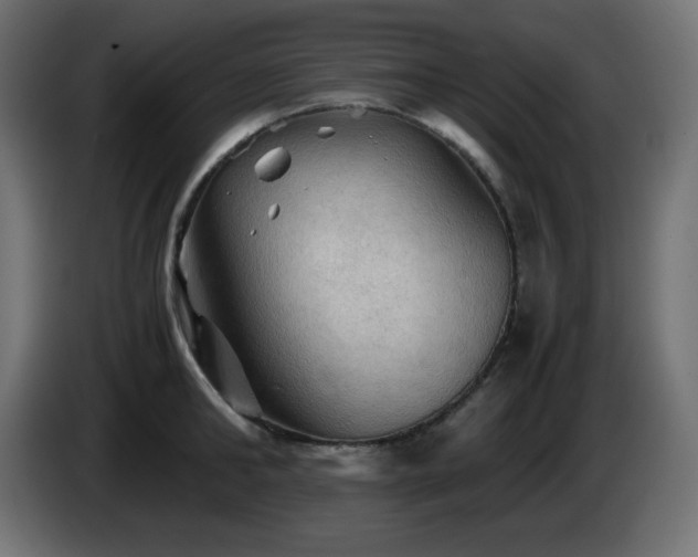 X0000087010902200704161540