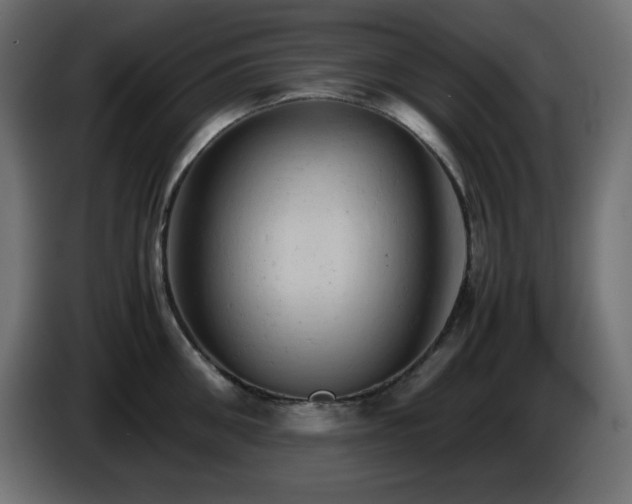 X0000087010906200704161539