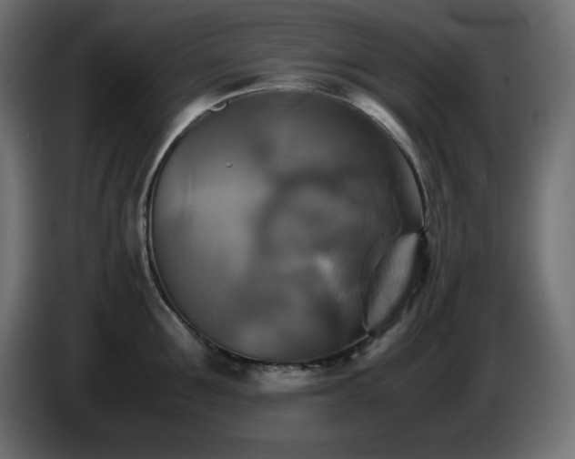 X0000087010907200704161539