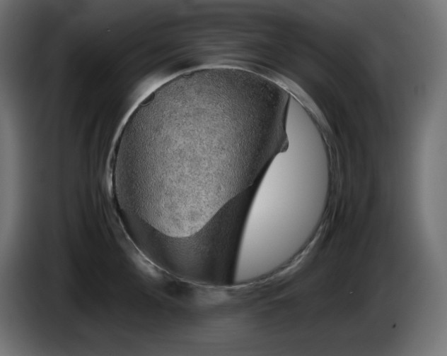 X0000087010908200704161539