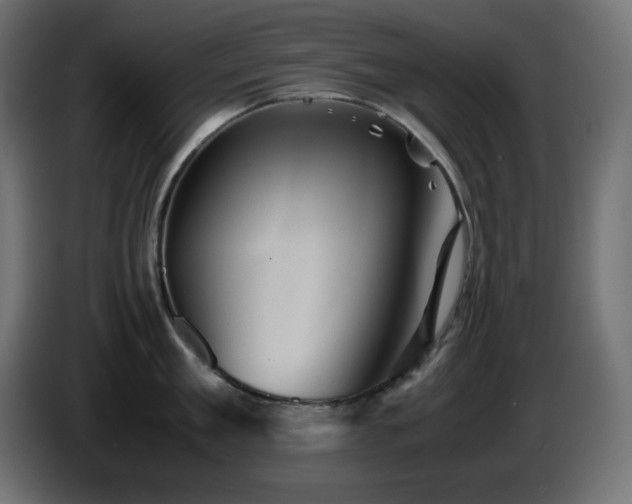 X0000087010909200704161539