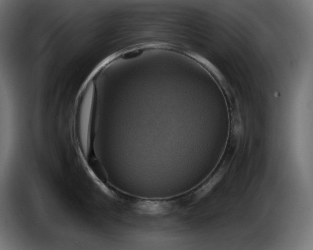X0000087010910200704161539