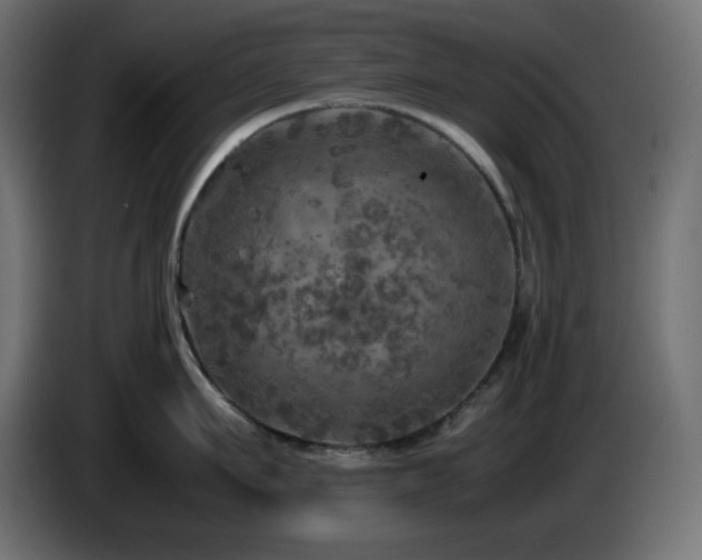 X0000087010911200704161539