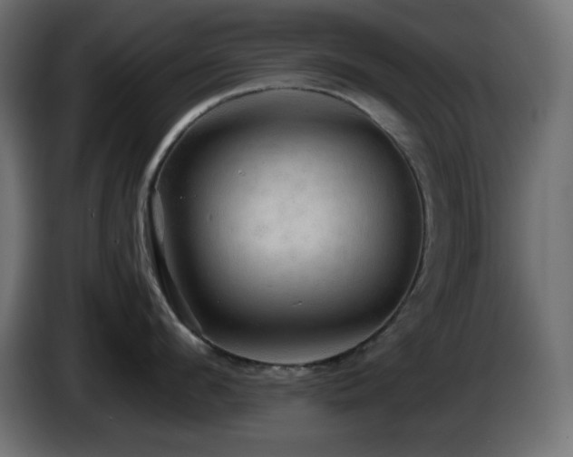 X0000087010912200704161539