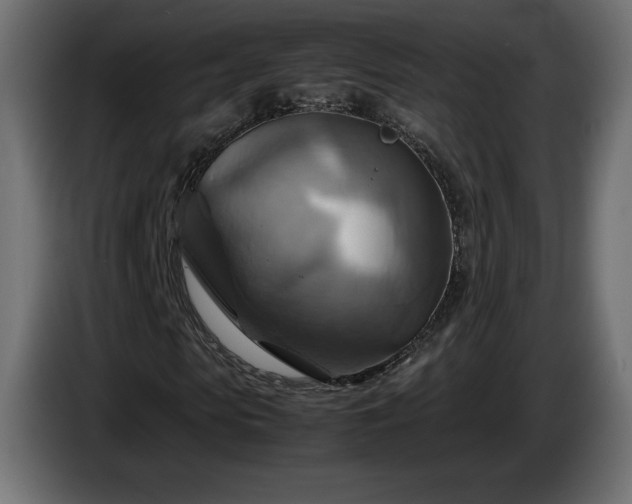 X0000087010913200704161539