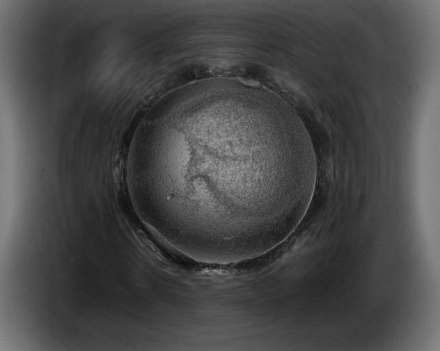 X0000087010914200704161539