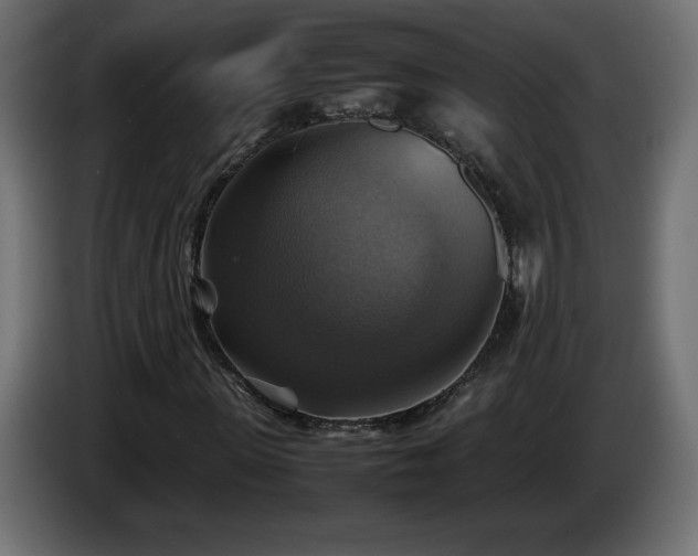 X0000087010915200704161539