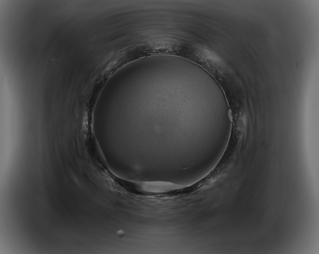 X0000087010916200704161539