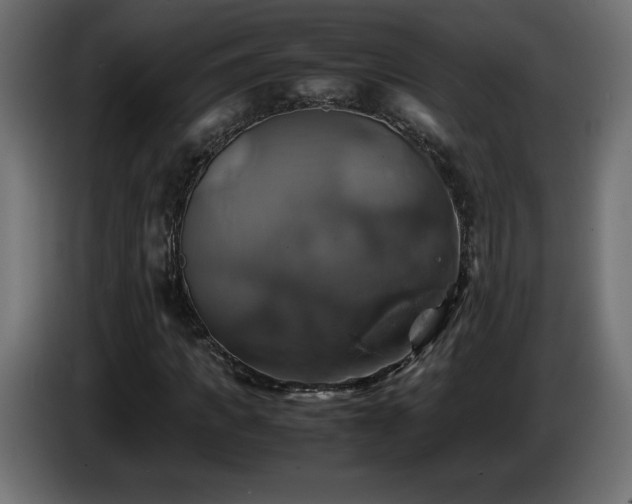 X0000087010917200704161539