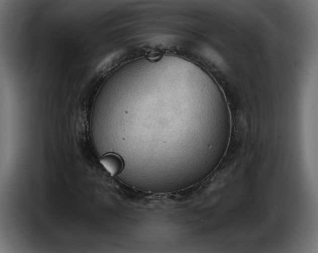 X0000087010918200704161539