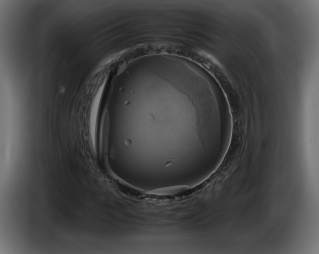 X0000087010919200704161539