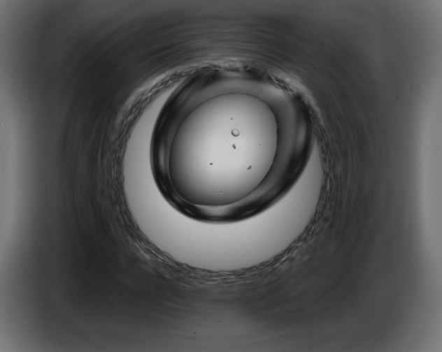 X0000087010920200704161539
