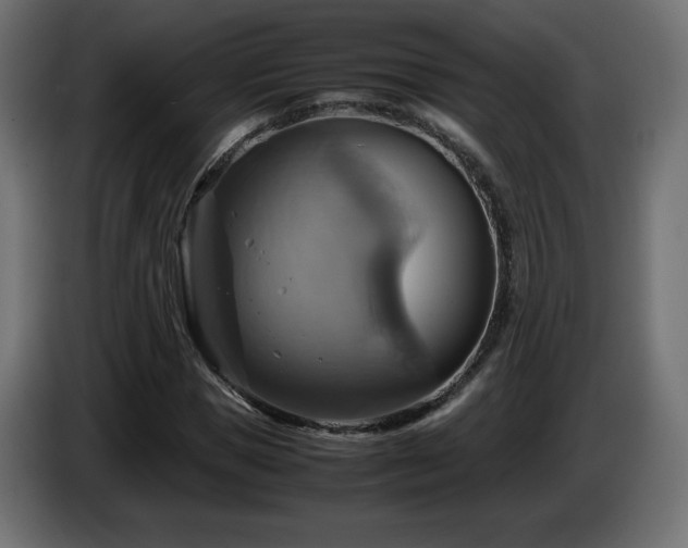 X0000087010921200704161539