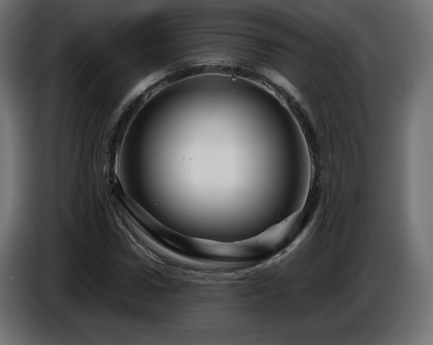 X0000087010922200704161539