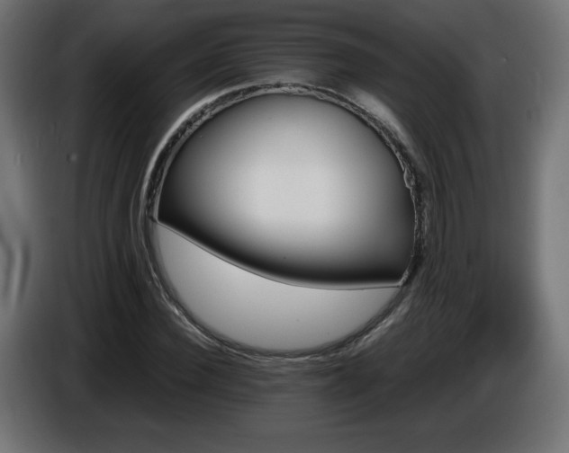 X0000087010924200704161539