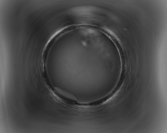 X0000087010925200704161539