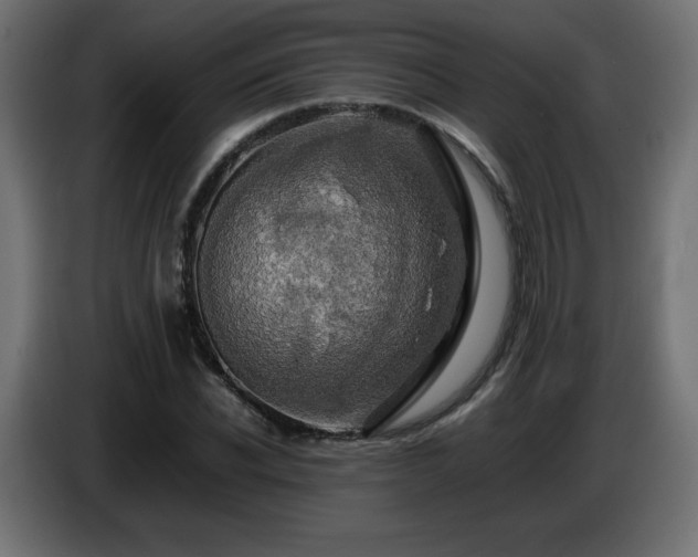 X0000087010926200704161539