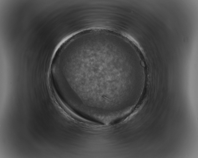X0000087010928200704161539