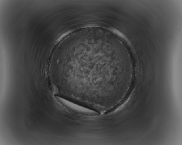 X0000087010929200704161539