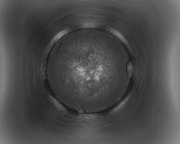 X0000087010930200704161539