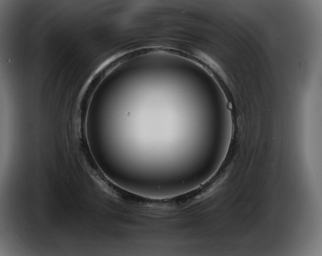 X0000087010931200704161539