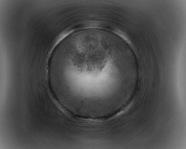 X0000087010933200704161539