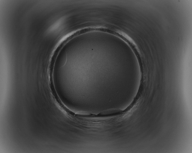 X0000087010935200704161539
