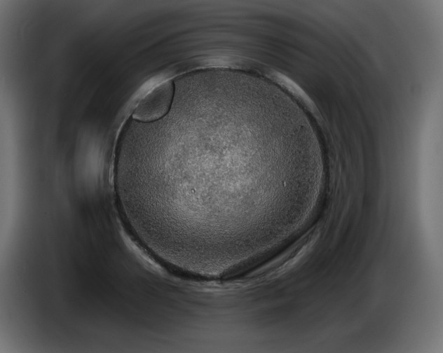 X0000087010938200704161539