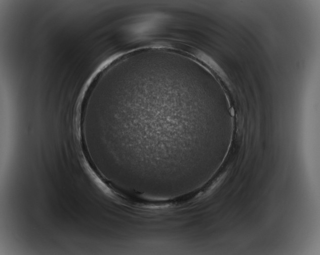 X0000087010939200704161539