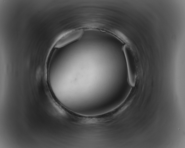 X0000087010940200704161539