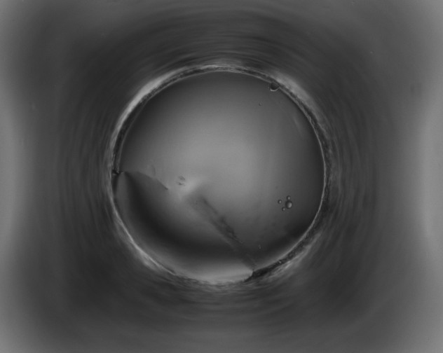 X0000087010941200704161539