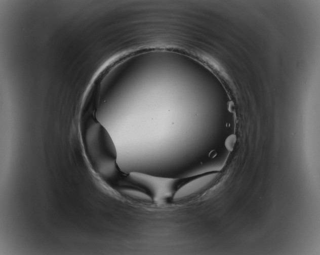 X0000087010942200704161539