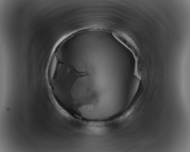 X0000087010944200704161539