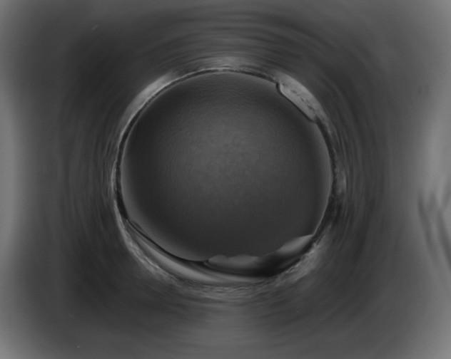 X0000087010946200704161539
