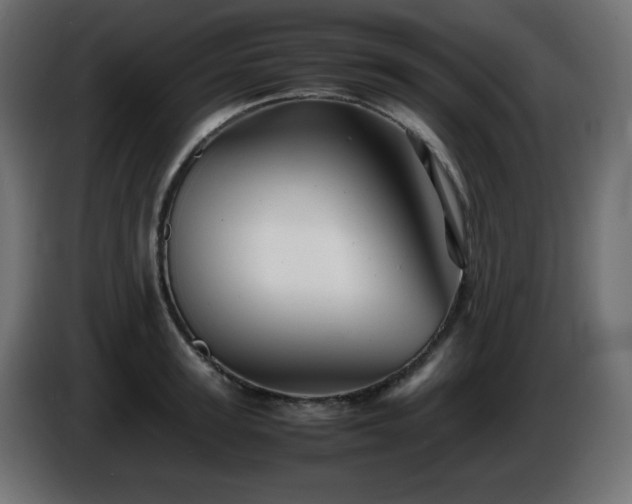 X0000087010947200704161539